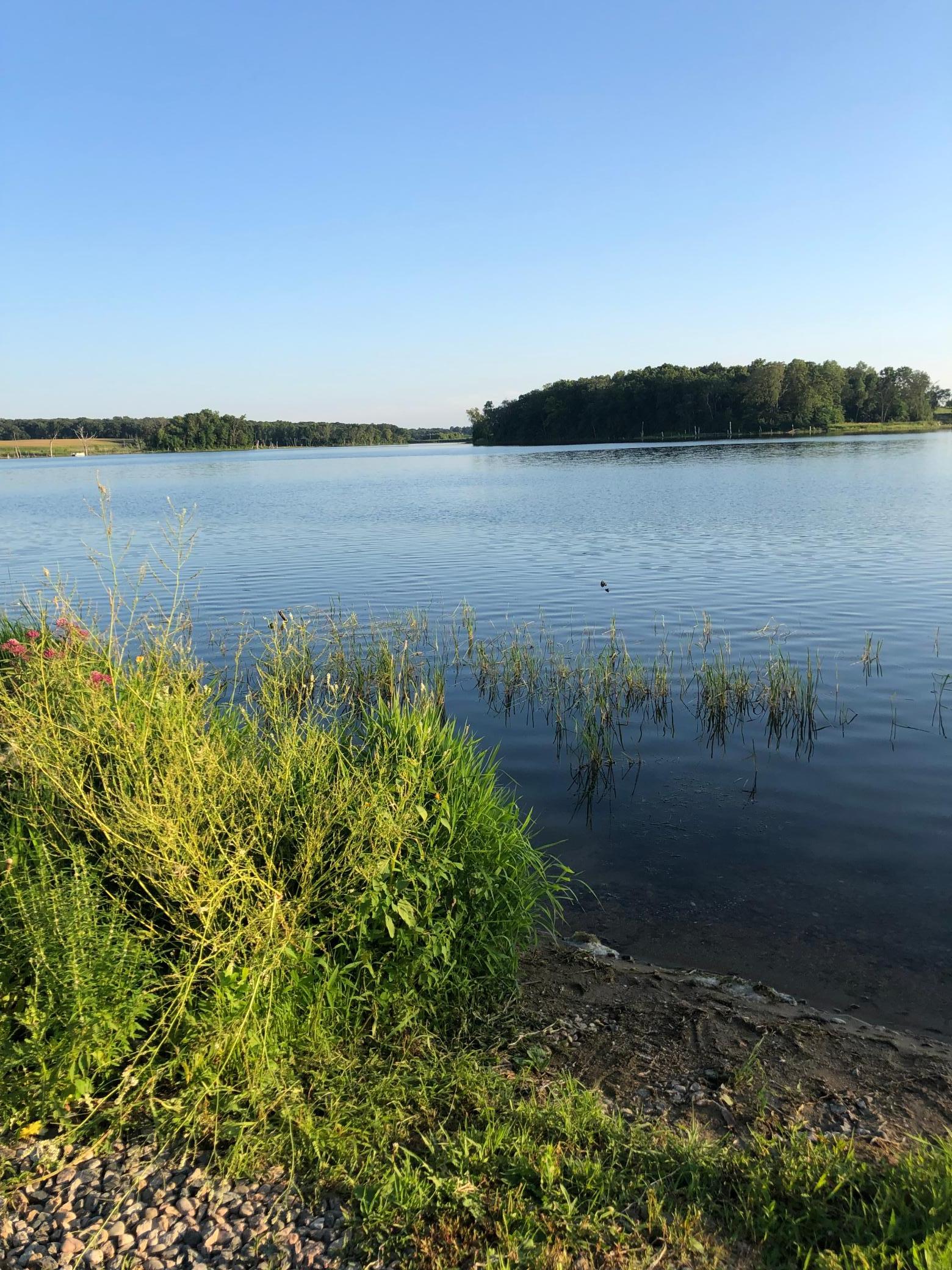 Lot 1 Shoreline