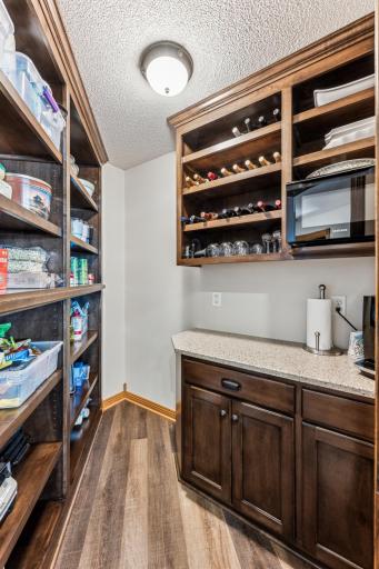 Great view of the walk in pantry showcasing the storage capabilities and additional counter space.