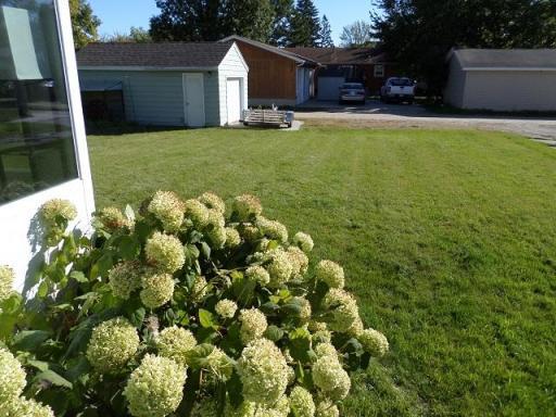 436 Maple Avenue S, Thief River Falls, MN 56701