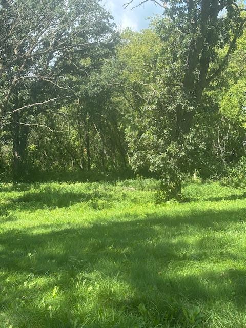 IMG_8118.jpeg
