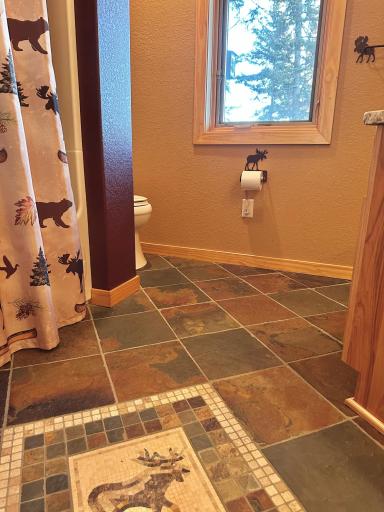 4505 Pine Point Circle NW, Walker, MN 56484