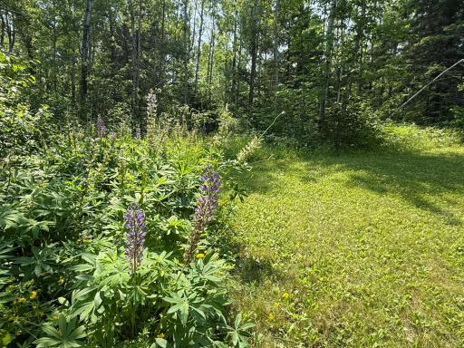 3437 Blueberry Hill Rd., Two Harbors, MN 55616