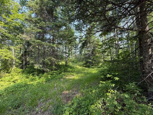 3437 Blueberry Hill Rd., Two Harbors, MN 55616