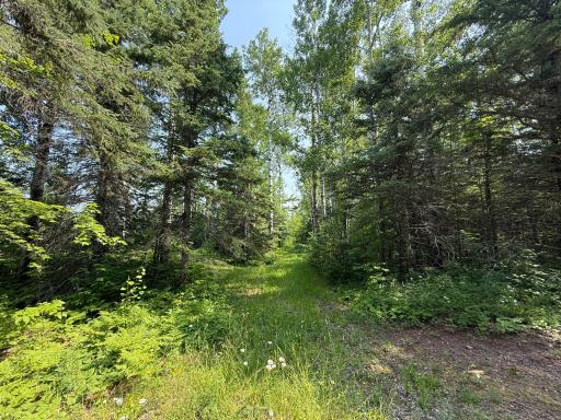 3437 Blueberry Hill Rd., Two Harbors, MN 55616
