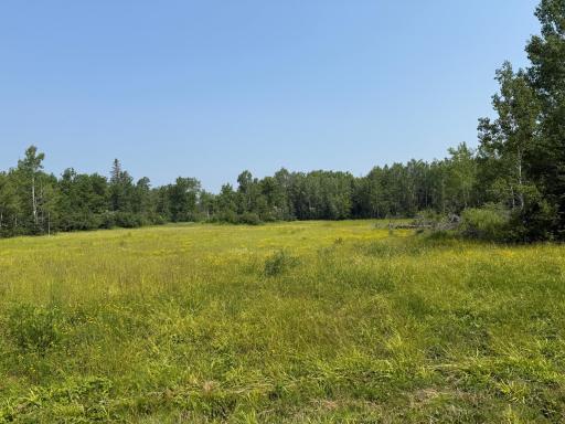3437 Blueberry Hill Rd., Two Harbors, MN 55616