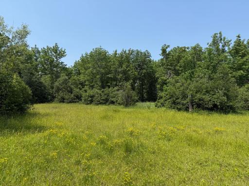 3437 Blueberry Hill Rd., Two Harbors, MN 55616