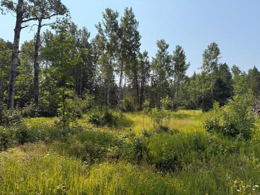 3437 Blueberry Hill Rd., Two Harbors, MN 55616