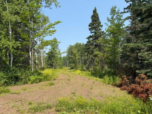 3437 Blueberry Hill Rd., Two Harbors, MN 55616