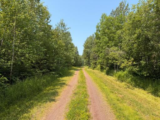 3437 Blueberry Hill Rd., Two Harbors, MN 55616