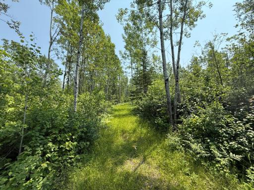 3437 Blueberry Hill Rd., Two Harbors, MN 55616