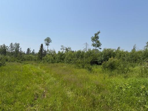 3437 Blueberry Hill Rd., Two Harbors, MN 55616