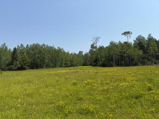 3437 Blueberry Hill Rd., Two Harbors, MN 55616