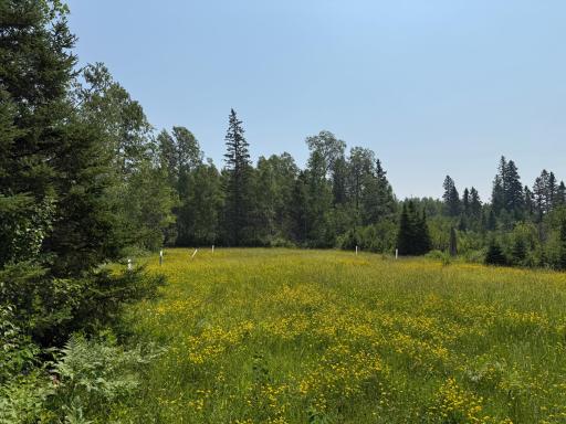 3437 Blueberry Hill Rd., Two Harbors, MN 55616