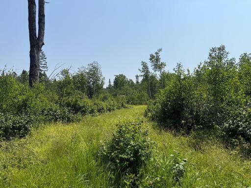 3437 Blueberry Hill Rd., Two Harbors, MN 55616