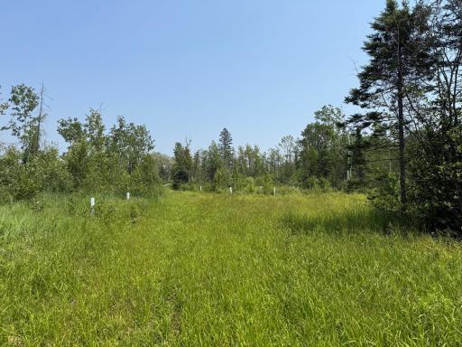3437 Blueberry Hill Rd., Two Harbors, MN 55616