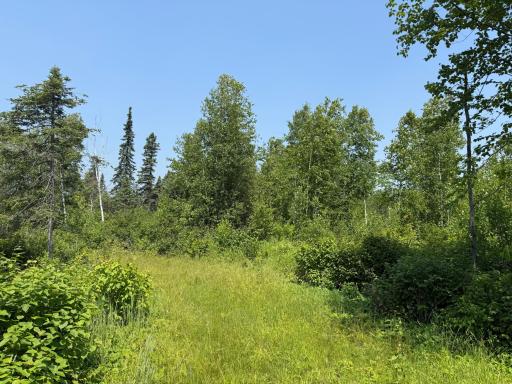 3437 Blueberry Hill Rd., Two Harbors, MN 55616