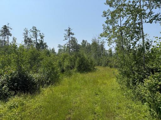 3437 Blueberry Hill Rd., Two Harbors, MN 55616