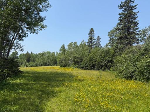 3437 Blueberry Hill Rd., Two Harbors, MN 55616