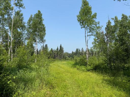 3437 Blueberry Hill Rd., Two Harbors, MN 55616