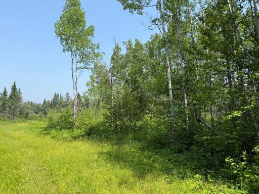 3437 Blueberry Hill Rd., Two Harbors, MN 55616