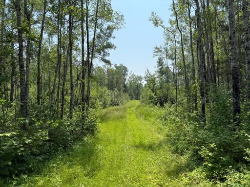 3437 Blueberry Hill Rd., Two Harbors, MN 55616
