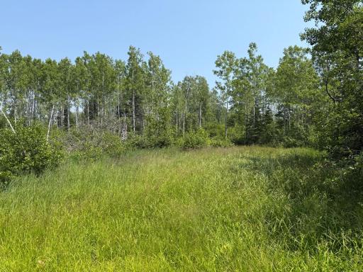 3437 Blueberry Hill Rd., Two Harbors, MN 55616