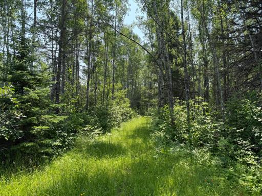 3437 Blueberry Hill Rd., Two Harbors, MN 55616