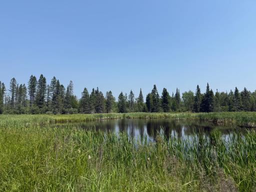 3437 Blueberry Hill Rd., Two Harbors, MN 55616