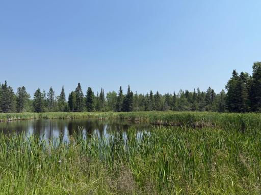 3437 Blueberry Hill Rd., Two Harbors, MN 55616