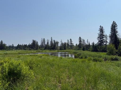 3437 Blueberry Hill Rd., Two Harbors, MN 55616