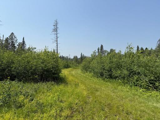 3437 Blueberry Hill Rd., Two Harbors, MN 55616