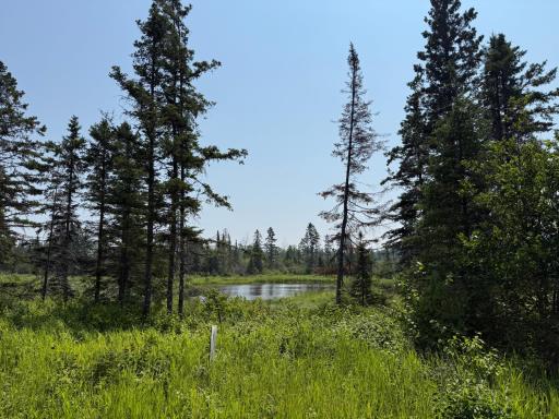 3437 Blueberry Hill Rd., Two Harbors, MN 55616