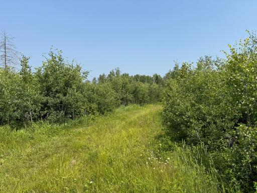 3437 Blueberry Hill Rd., Two Harbors, MN 55616