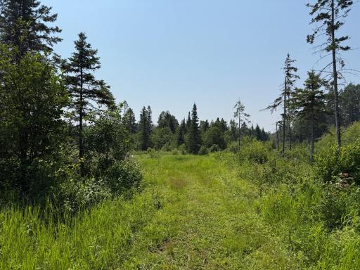 3437 Blueberry Hill Rd., Two Harbors, MN 55616