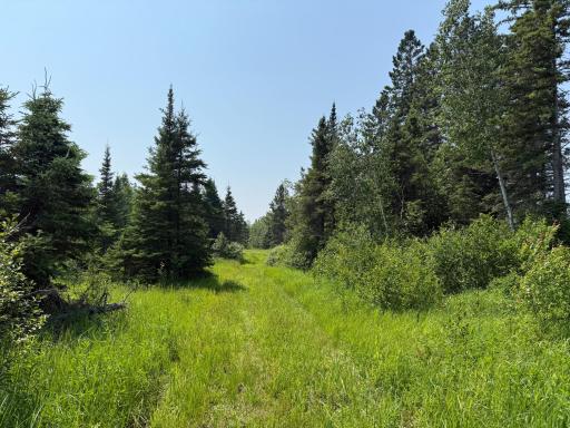 3437 Blueberry Hill Rd., Two Harbors, MN 55616