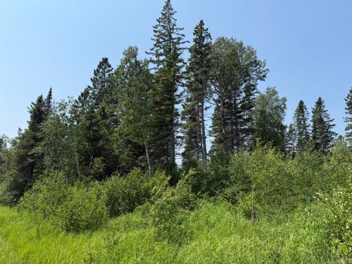 3437 Blueberry Hill Rd., Two Harbors, MN 55616