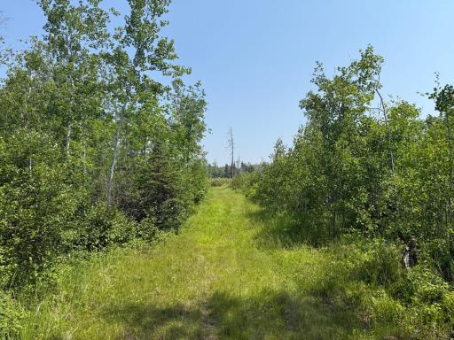 3437 Blueberry Hill Rd., Two Harbors, MN 55616