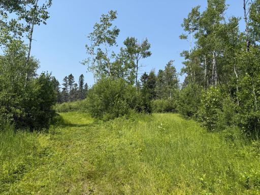 3437 Blueberry Hill Rd., Two Harbors, MN 55616