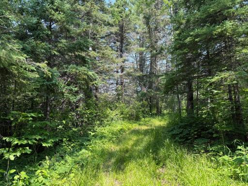 3437 Blueberry Hill Rd., Two Harbors, MN 55616