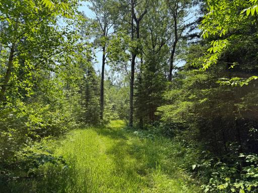 3437 Blueberry Hill Rd., Two Harbors, MN 55616
