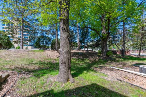 6964 Langford Court, Minneapolis, MN 55436