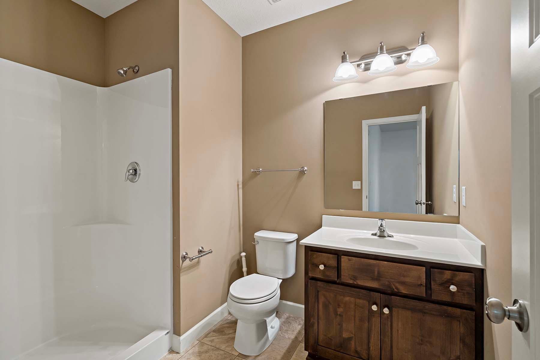 Lower level bathroom