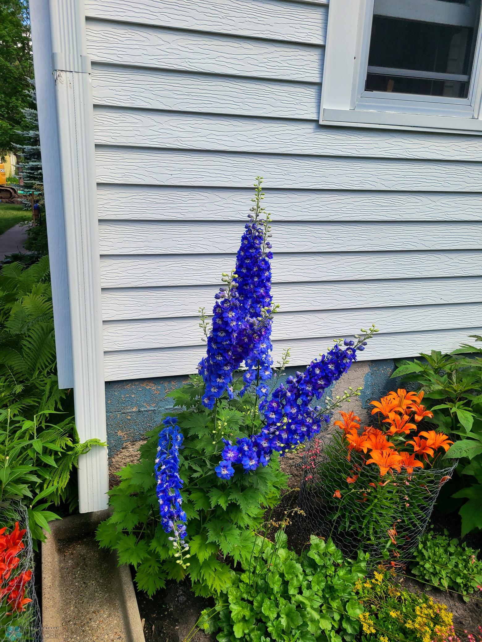 image_1.jpg