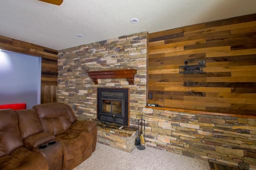 Family Room Lower Level