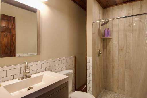 Lower Level Bathroom