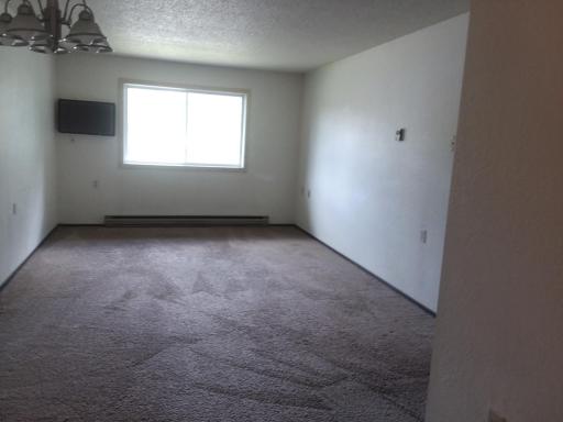 207 Cedar Street NE, Remer, MN 56672