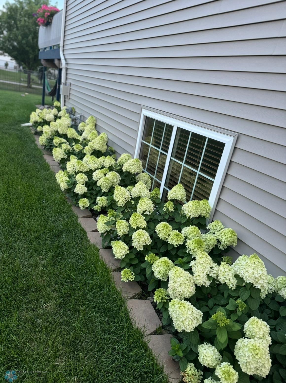 Summer landscaping.jpeg