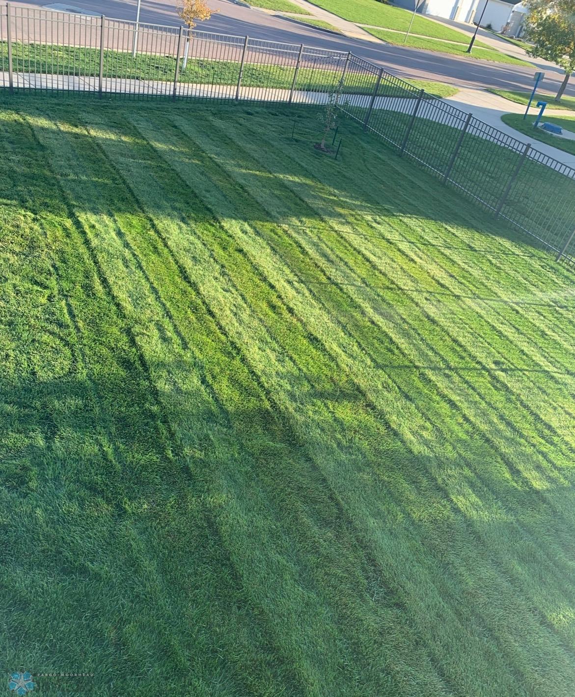 Backyard.jpeg