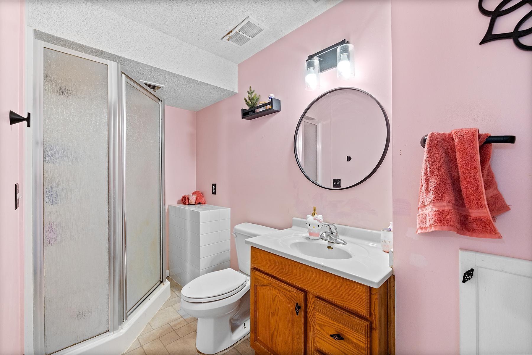 Lower level 3/4 bathroom