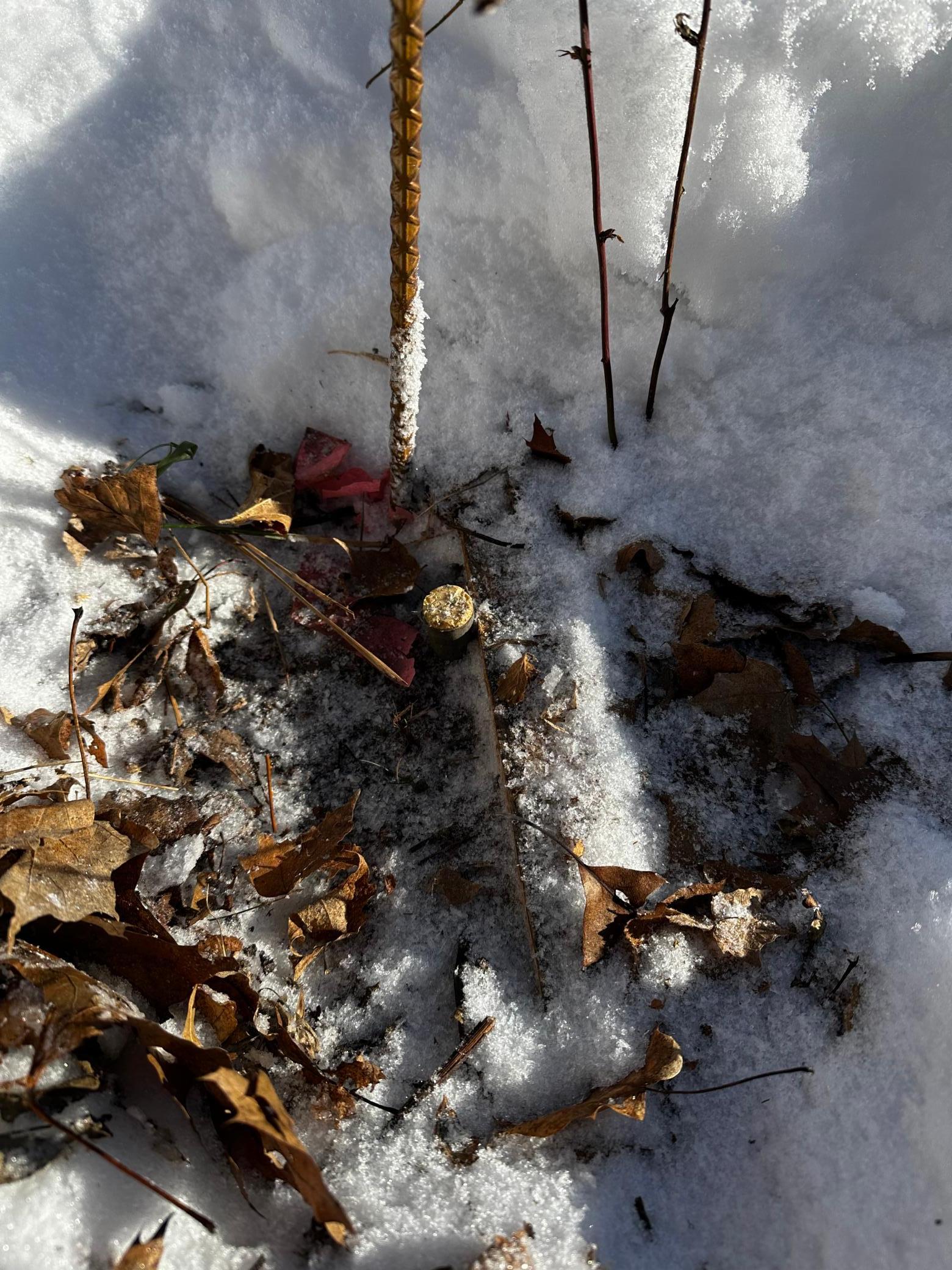 Pin/Marker on NE corner of lot